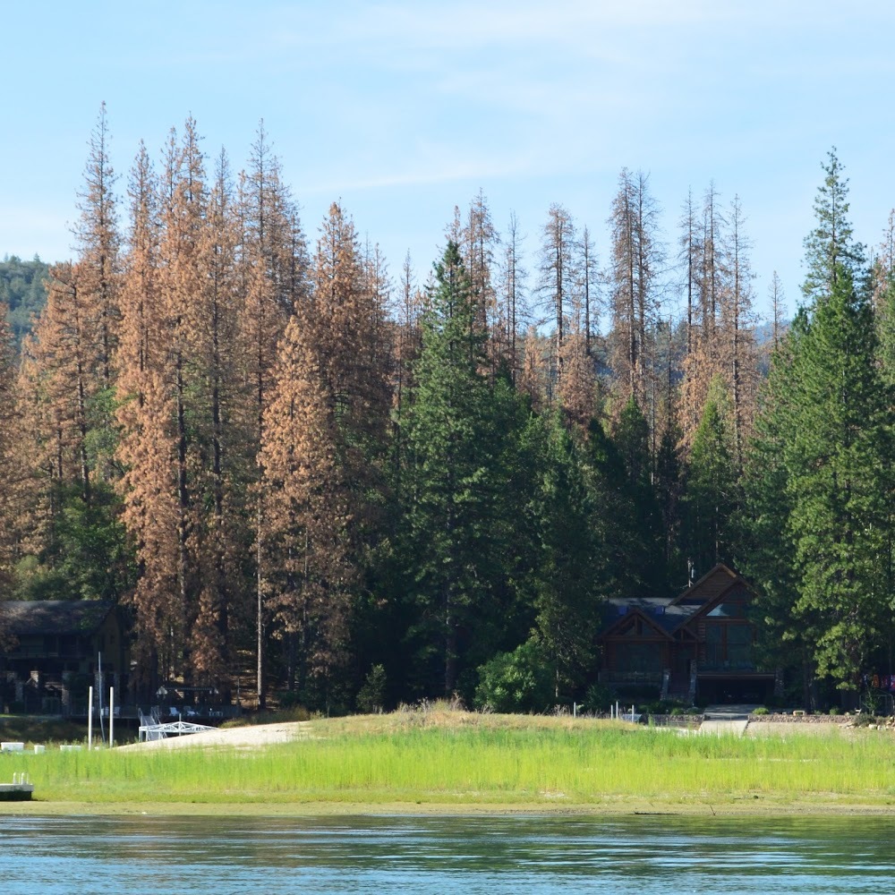 Meet your Posher, Rhiannon